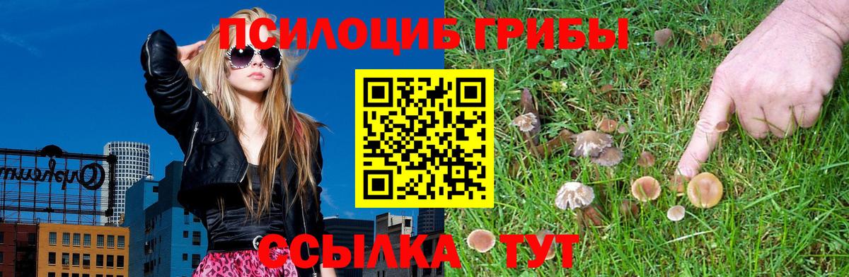Галлюциногенные грибы GOLDEN TEACHER  Вход с VPN  Мытищи 